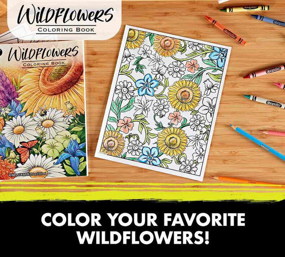 40-Page Coloring Book, Wildflowers - My Little Thieves