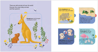 Wild Animals (Lift the Flap) — official inside-page and lift-the-flap preview, ISBN 9789465245249