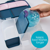 B.Box Gel Cooler 2 Pack