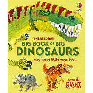 Big Book Of Big Dinosaurs