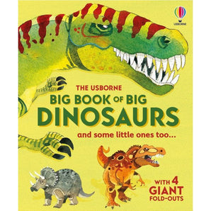 Big Book Of Big Dinosaurs