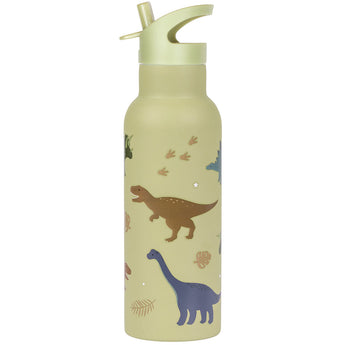 500ml Stainless Steel Water Bottle - Dinosaurs