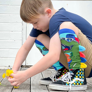 Madmia Dinosaur Socks