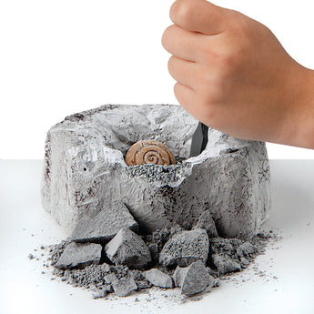 Discovery Mindblown Fossil Unearthed 2-Pack Mini Excavation Kit, with 5-pieces Unique And Natural Fossil