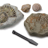 Discovery Mindblown Fossil Unearthed 2-Pack Mini Excavation Kit, with 5-pieces Unique And Natural Fossil
