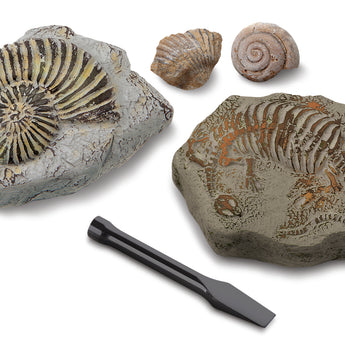Discovery Mindblown Fossil Unearthed 2-Pack Mini Excavation Kit, with 5-pieces Unique And Natural Fossil