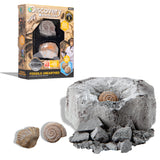 Discovery Mindblown Fossil Unearthed 2-Pack Mini Excavation Kit, with 5-pieces Unique And Natural Fossil