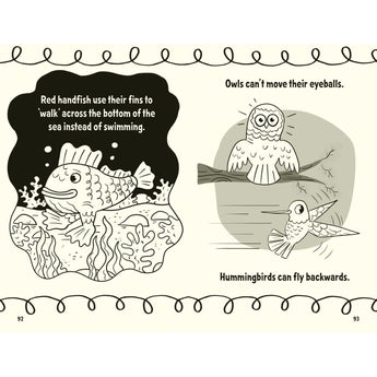 Harper Collins Publishers Amazing Facts Every 7 Year Old Needs To Know — Children's Book For Kids | Children's & Te...