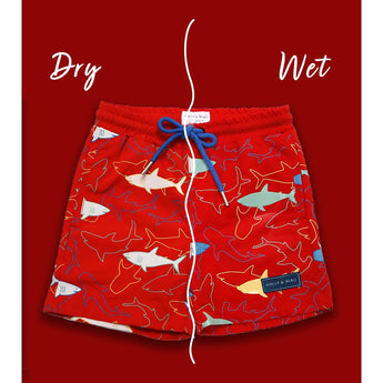 Holly And Beau Boys Color Changing Swim Shorts | Quick Dry Pool & Beach