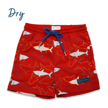 Holly And Beau Boys Color Changing Swim Shorts | Quick Dry Pool & Beach