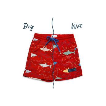 Holly And Beau Boys Color Changing Swim Shorts | Quick Dry Pool & Beach