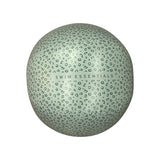 Swim Essentials Green Leopard Beach Ball 51cm | Kids Pool Toy - My Little Thieves
