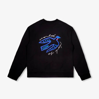 World Of Pop Children’s Organic Cotton Sweatshirt | Birds Protect Hoodie - My Little Thieves