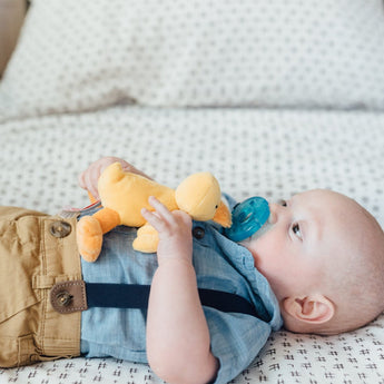 Animal - Themed Plush Pacifiers - My Little Thieves