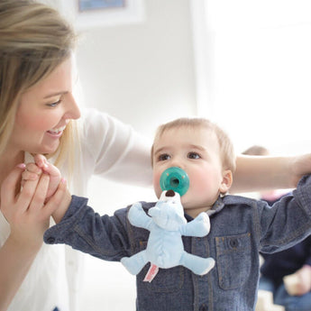 Animal - Themed Plush Pacifiers - My Little Thieves