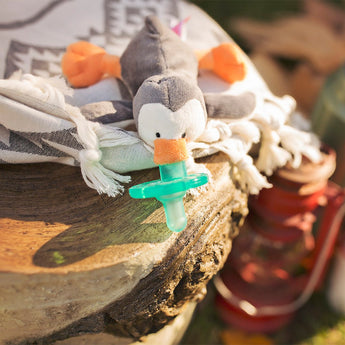 Animal - Themed Plush Pacifiers - My Little Thieves