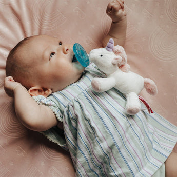 Animal - Themed Plush Pacifiers - My Little Thieves