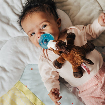 Animal - Themed Plush Pacifiers - My Little Thieves