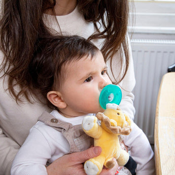 Baby Lion Pacifier - My Little Thieves