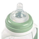 Beaba 2 In 1 Learning Cup | Spout & Straw Transition Cup For Babies - My Little Thieves