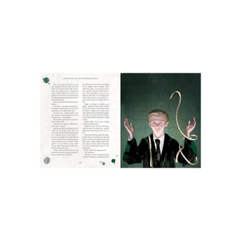 Bloomsbury Childrens Books Harry Potter And The Philosopher's Stone: Illustrated Edition | Books - My Little Thieves