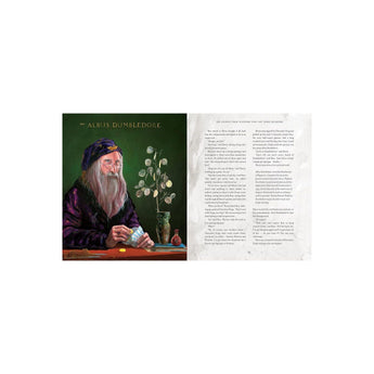 Bloomsbury Childrens Books Harry Potter And The Philosopher's Stone: Illustrated Edition | Books - My Little Thieves