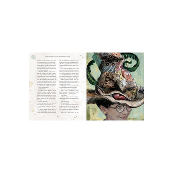 Bloomsbury Childrens Books Harry Potter And The Philosopher's Stone: Illustrated Edition | Books - My Little Thieves