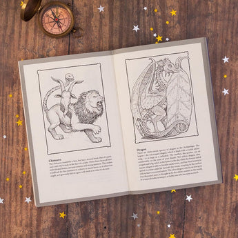 Bloomsbury Childrens Books Impossible Creatures ” Children's Book For Kids | Children's & Teenage Fiction Stories - My Little Thieves