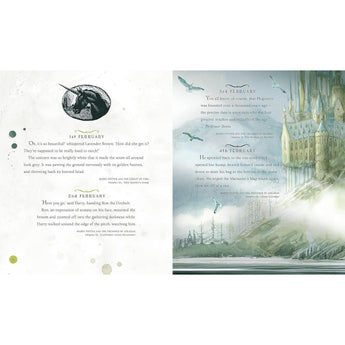 Bloomsbury Harry Potter A Magical Year Jim Kay Illustrations | Art Book - My Little Thieves