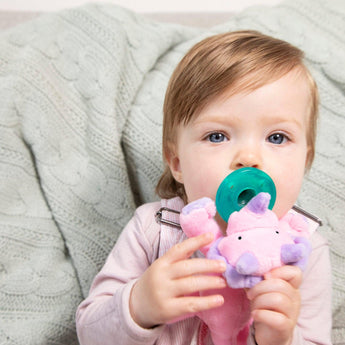 Chrissy Dino Pacifier - My Little Thieves