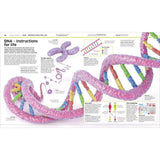 Dk Publishing Knowledge Encyclopedia Human Body ” Children's Book For Kids | Children's & Teenage Fiction Stories - My Little Thieves