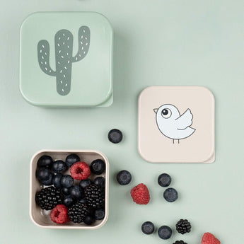 Done By Deer Snack Box Set 3 Pieces | Lalee Design On The Go Containers - My Little Thieves