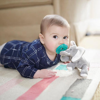 Elephant Grey Pacifier - My Little Thieves