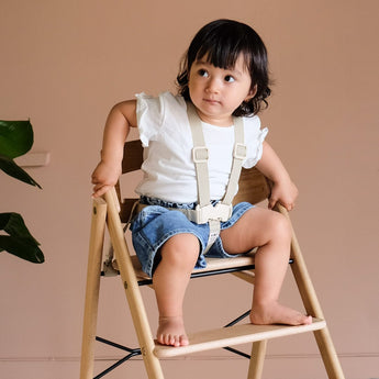 Kaos 5 Point Jr. Harness | Highchair Safety - My Little Thieves