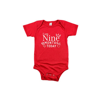 Milestone Multi colour Printed Baby Romper - Pack of 12 - My Little Thieves