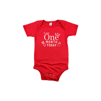 Milestone Multi colour Printed Baby Romper - Pack of 12 - My Little Thieves