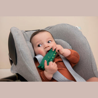 Natural Rubber Toy Collection | Safe & Fun Teething - My Little Thieves