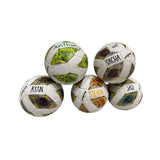 Personalize Size 5 Football - My Little Thieves