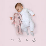 Personalized Bunny Soft Toy - My Little Thieves