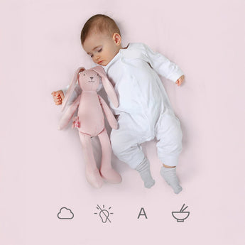 Personalized Bunny Soft Toy - My Little Thieves