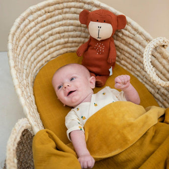 Plush Toy - Animal Collection - My Little Thieves