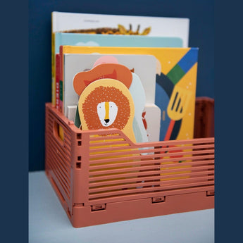 Shaped Book - My Little Thieves