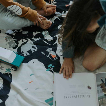 Toy Storage bag – World map - My Little Thieves