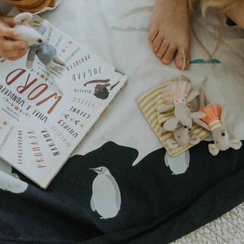 Toy Storage bag – World map - My Little Thieves