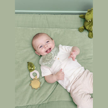 Trixie Teething Toy Collection Mr. Lion, Mr. Dino, And Mrs. Rabbit | Soft Toys - My Little Thieves