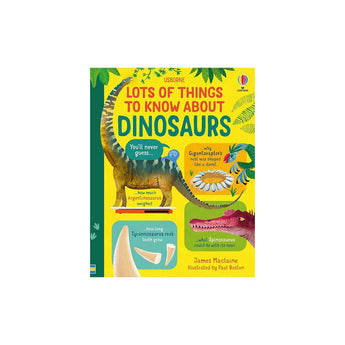 Usborne Publishing Ltd Lots Of Things To Know About Dinosaurs ” Children's Book For Kids | Books - My Little Thieves