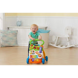 VTech Baby Walker 2 In 1 Sit To Stand Activity Centre - My Little Thieves