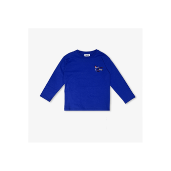 World Of Pop Children’s Blue Long Sleeve Birds Protect T Shirt | Organic Cotton - My Little Thieves