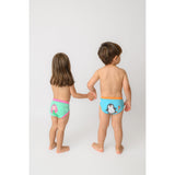 Zoocchini Organic Potty Training Pants 3 Pack | Toddler Underwear Set - My Little Thieves