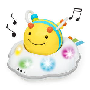 Skip Hop Explore & More Follow Bee Crawl Toy Bee | Baby Toys